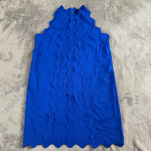 Ted Baker Rianori Knit Swing Dress Blue Size 4 US 12 Large - Picture 1 of 5